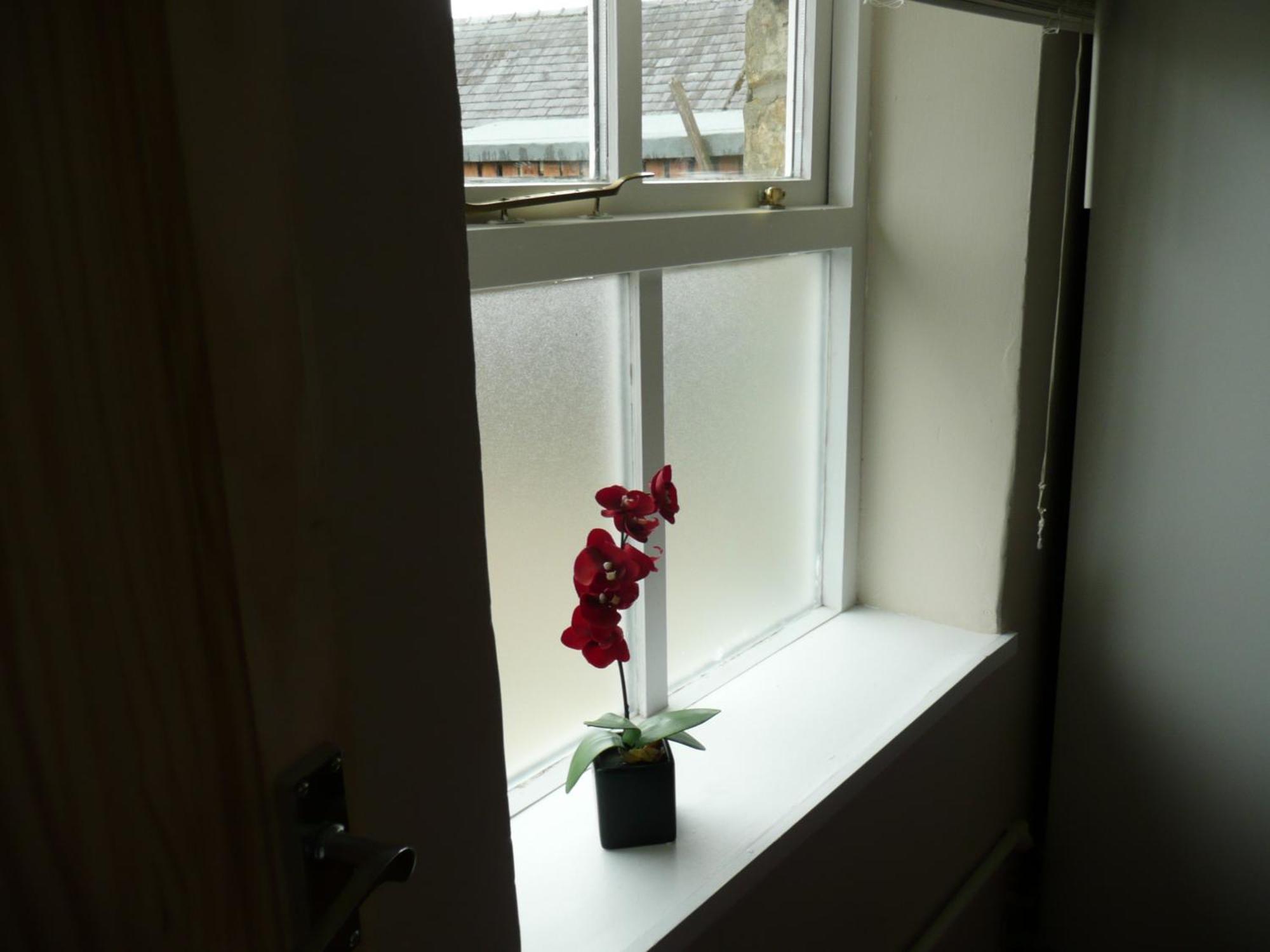 Hollybush Inn Greenhaugh Oda fotoğraf